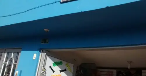 PET SHOP ANIMALS PIPE PET SHOP ANIMALS PIPE